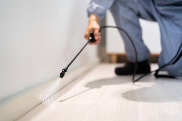 Licensed Termite Control service in Claremont, CA - Nex Pest Control