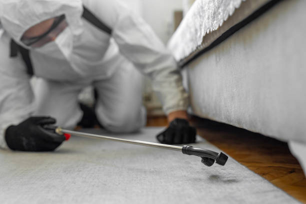 Professional Termite Control technician working in Claremont, CA