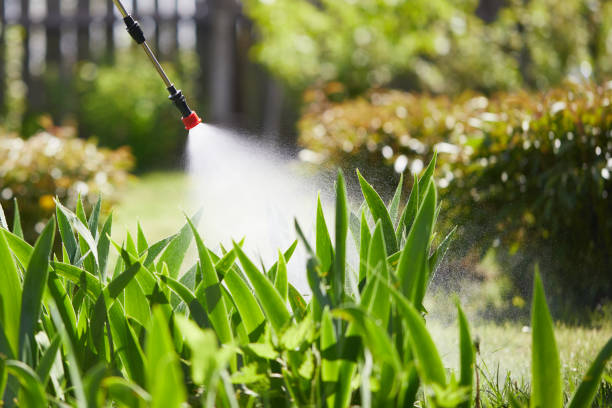 24/7 Emergency Termite Control experts in Claremont, CA