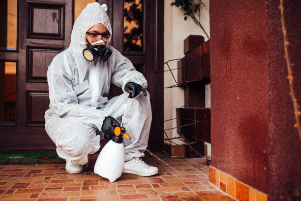 Reliable Termite Control contractor in Claremont, CA by Nex Pest Control