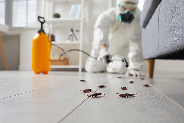 Affordable Termite Control solutions in Claremont, CA